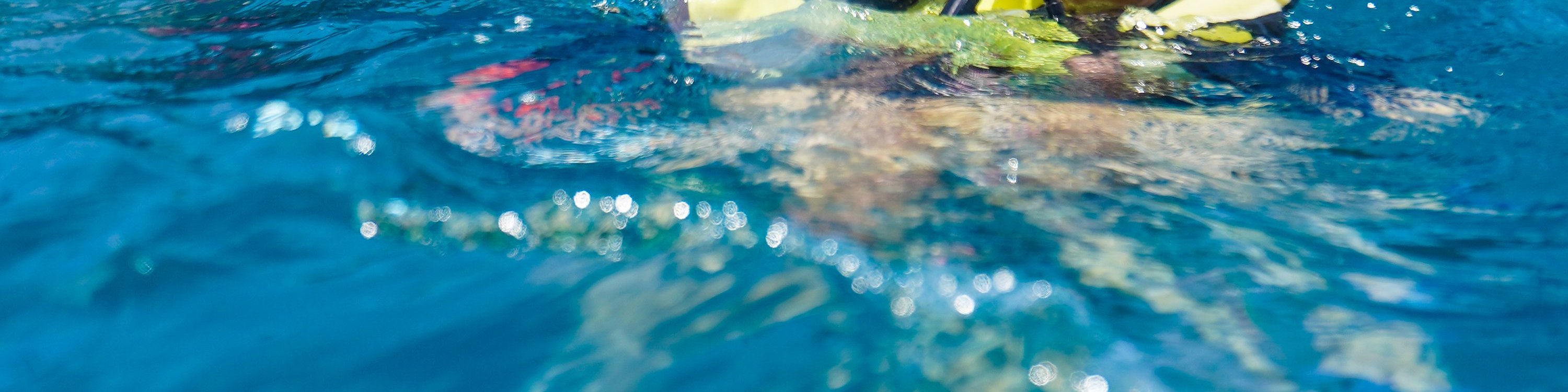 浮潛探險，情侶在水中開心合影