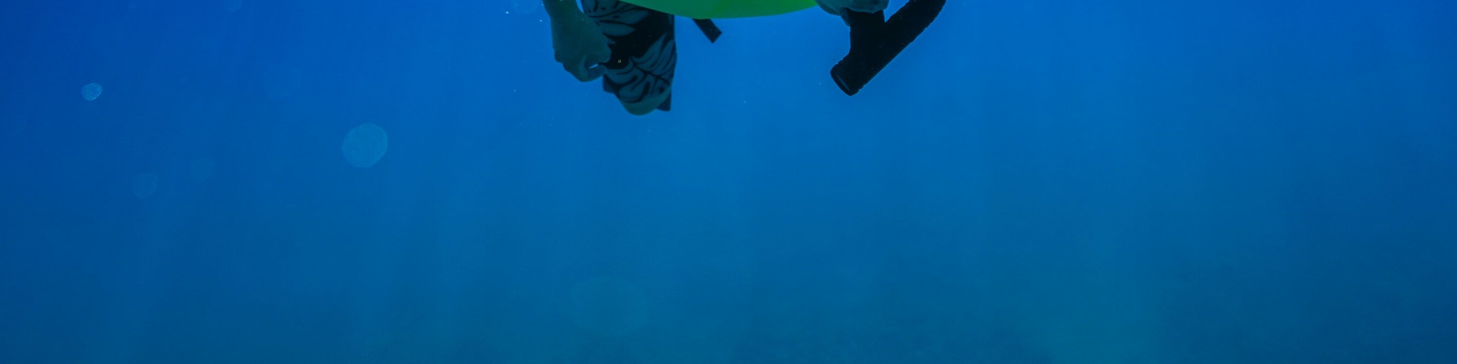 在瑪卡哈海灘浮潛，探索充滿熱帶魚的鮮豔珊瑚礁