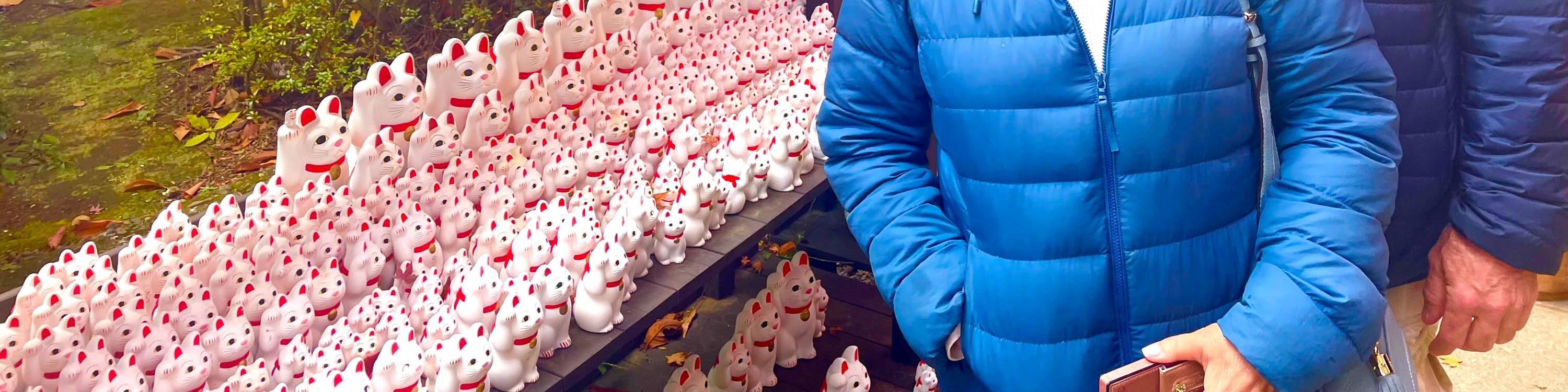 Tokyo Cat Cafe & Gotokuji Temple Half-Day Tour - Thumbnail 27