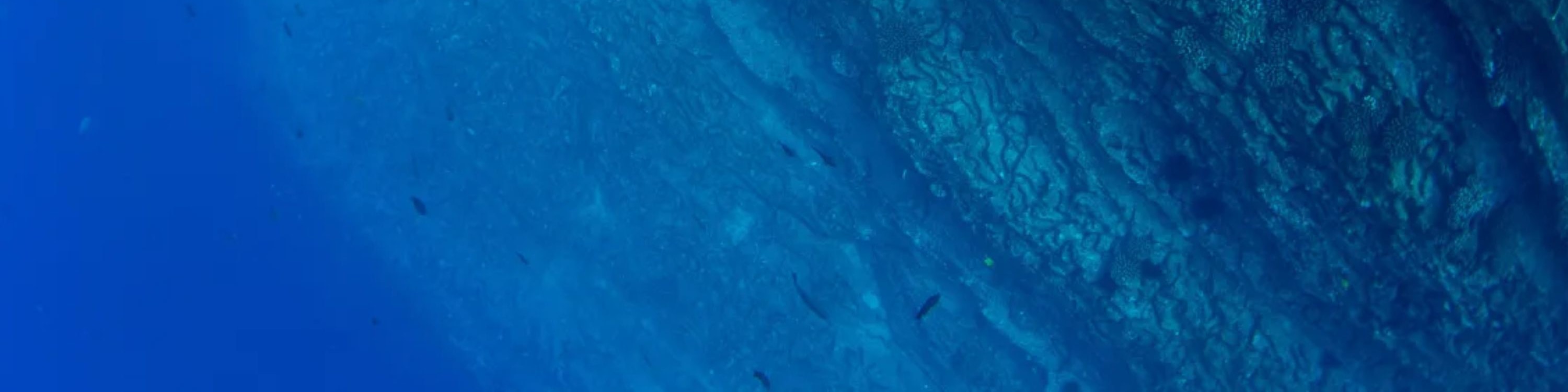 考艾島尼豪島與納帕利海岸船遊
