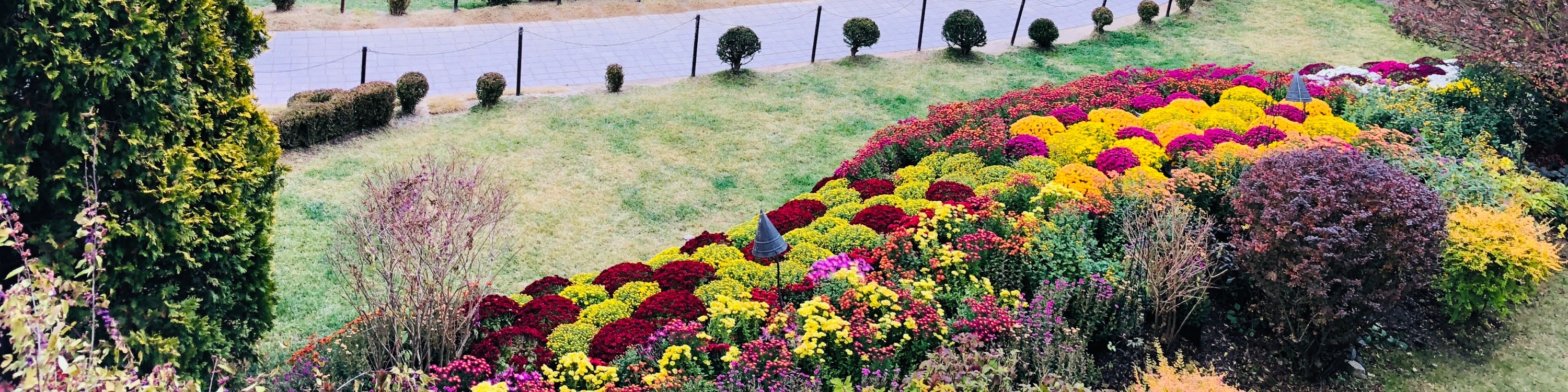 雪嶽山／纜車／草泥馬樂園／鐵道自行車／晨靜樹木園之旅