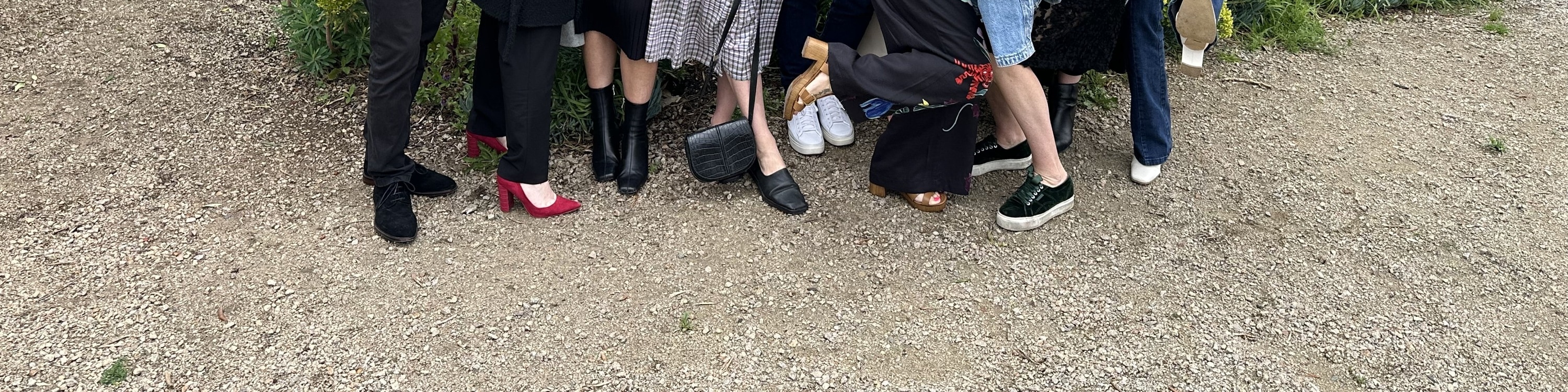 莫寧頓半島風景觀光和酒莊之旅