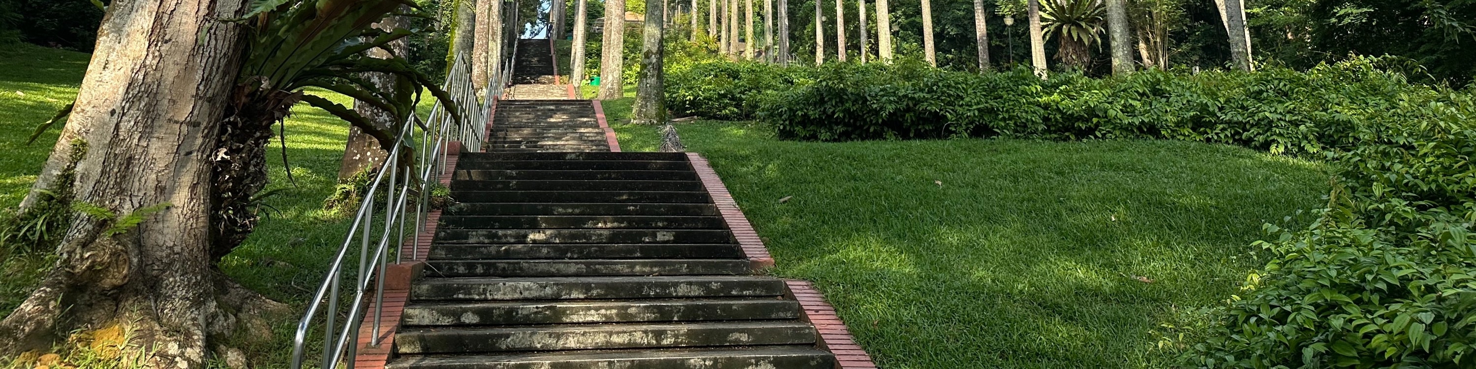 新加坡真實市中心美食步行之旅