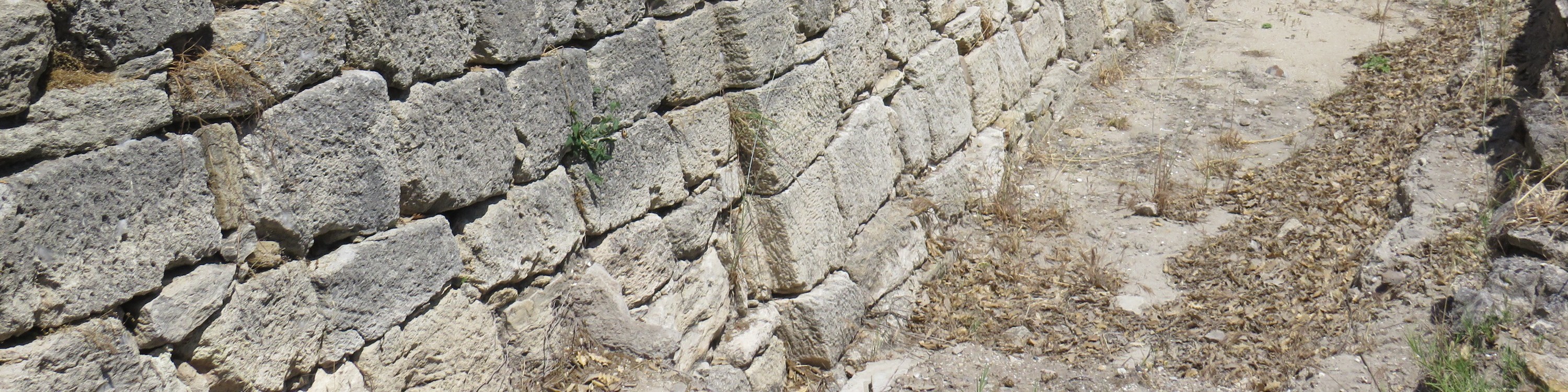 Daily Troy Tour from Istanbul