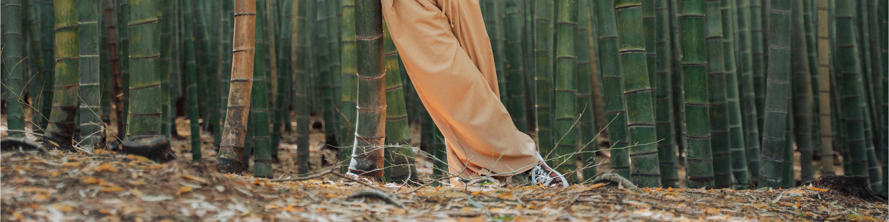 阿홉산 竹林