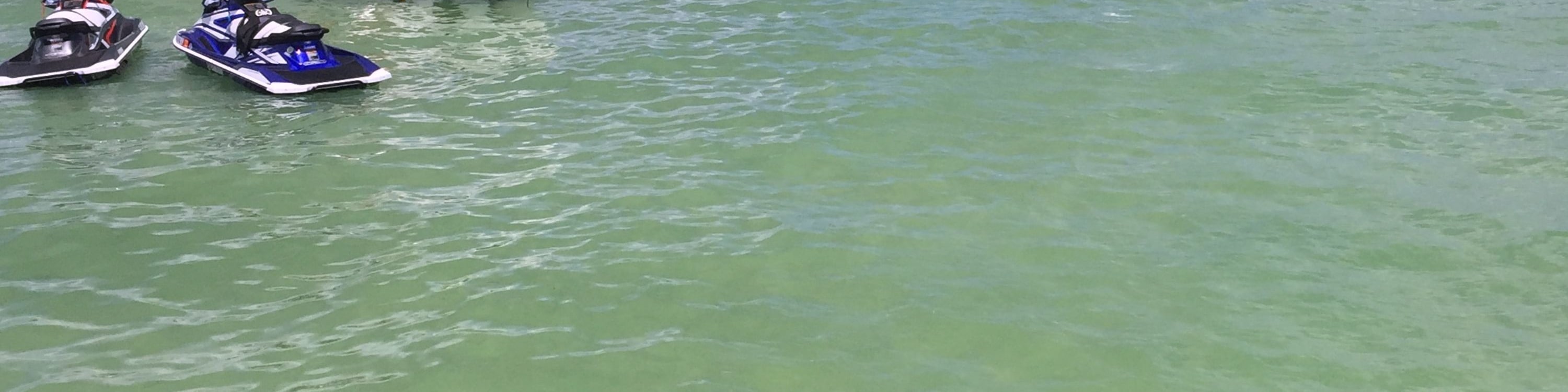 Haulover Sandbar