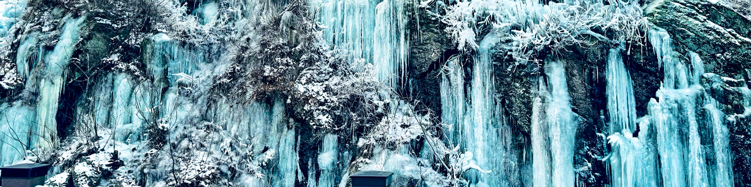 Eobi冰谷 / 羊駝 / 鐵路自行車 / 草莓採摘 / 雪橇一日遊