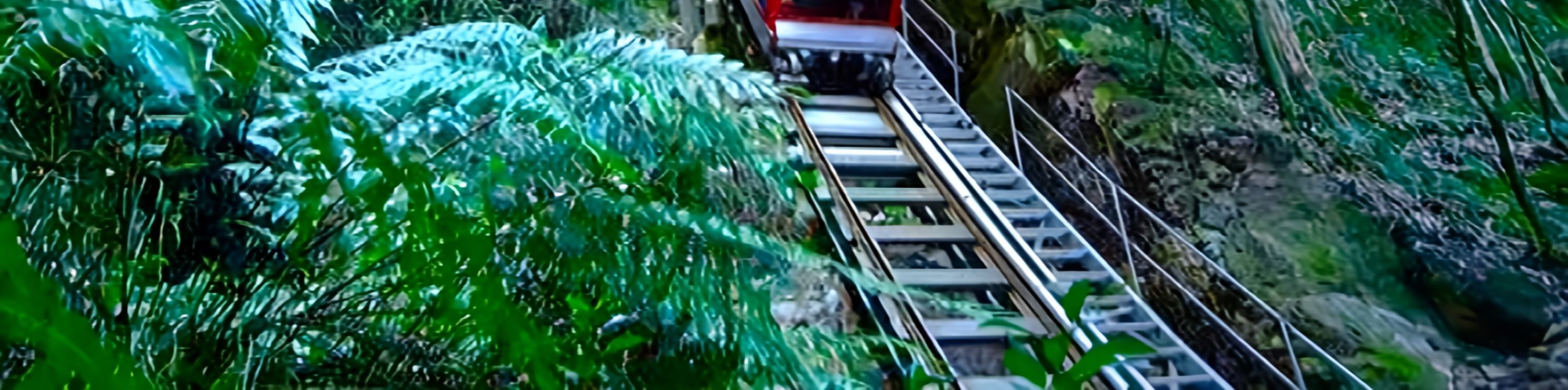 乘坐藍山風景世界(Scenic World)的觀光火車,體驗以52°傾角下降到雨林中的刺激 乘坐藍山風景世界(Scenic World)的觀光火車,體驗以52°傾角下降到雨林中的刺激