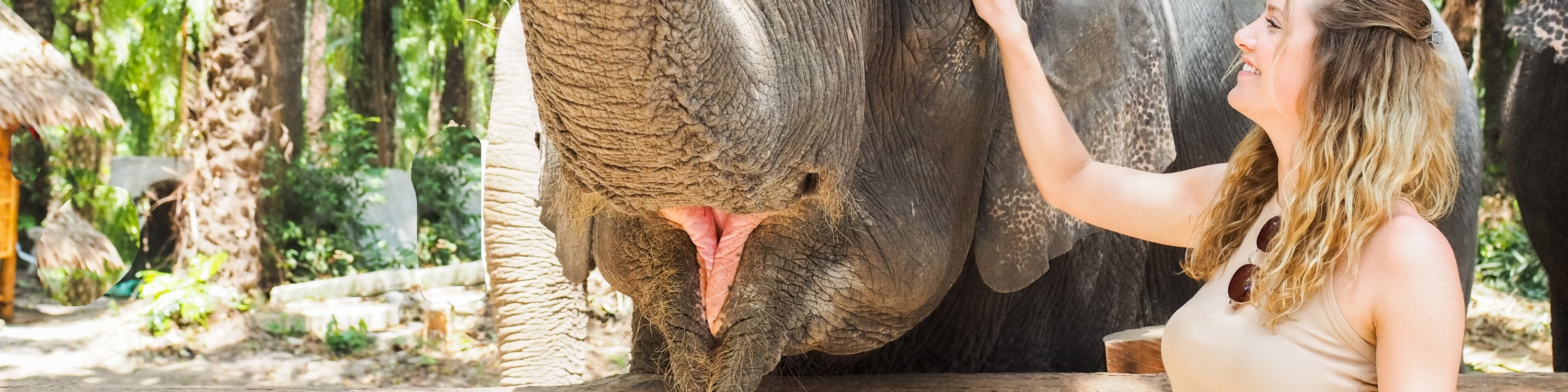 甲米大象保護區（Krabi Elephant Shelter）體驗