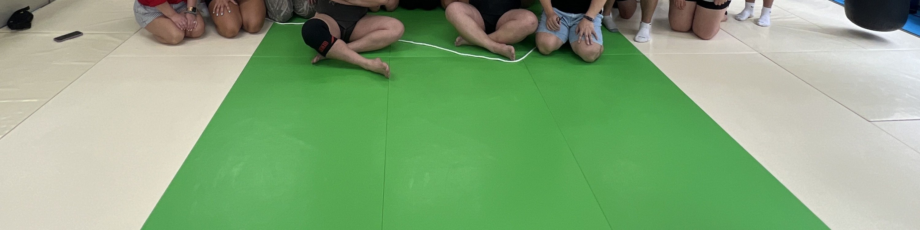 Authentic Sumo Experience in Tokyo For Group / Tokyo Sumo Land