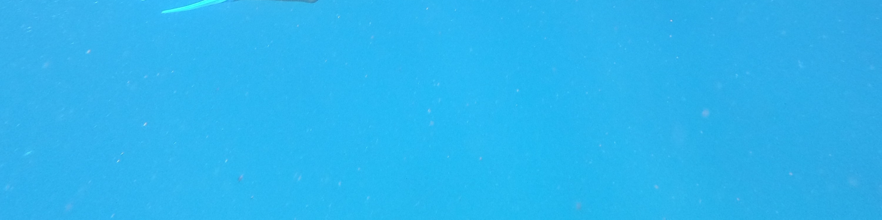 藍夢島4個浮潛點體驗