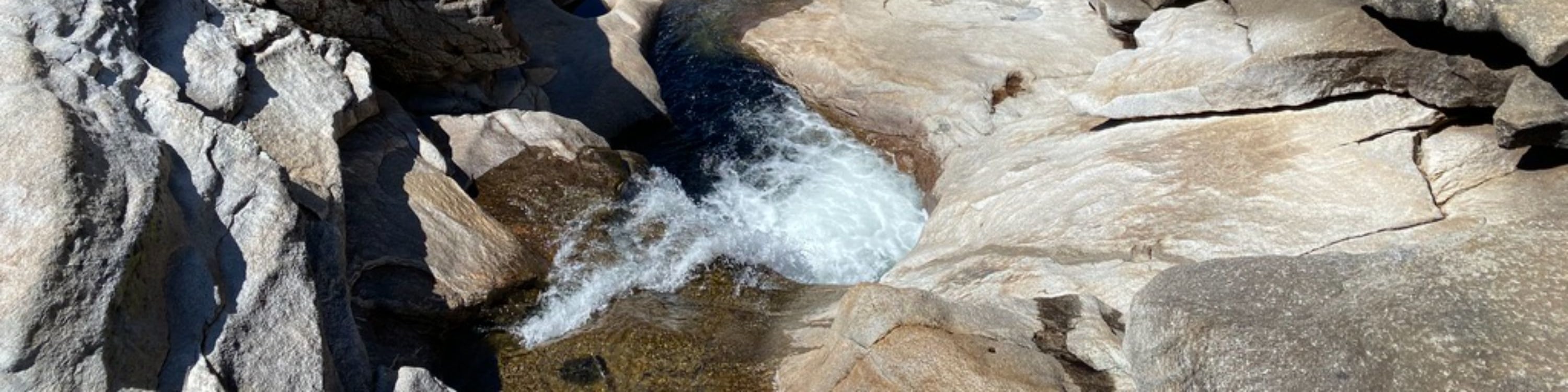 Yosemite, Death Valley, and San Francisco 4-Day Tour from Las Vegas