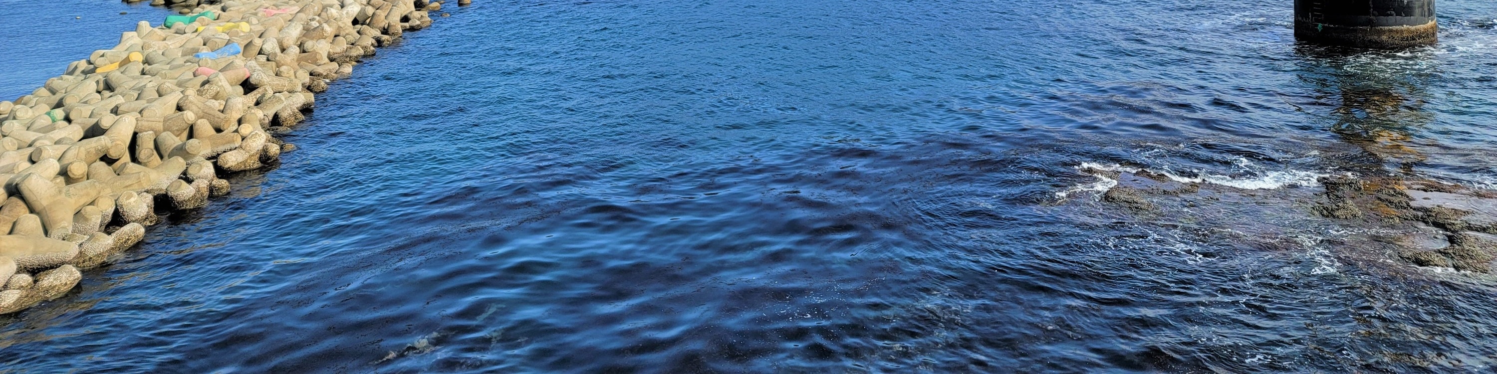 甘川文化村 & 札嘎其魚市場徒步之旅