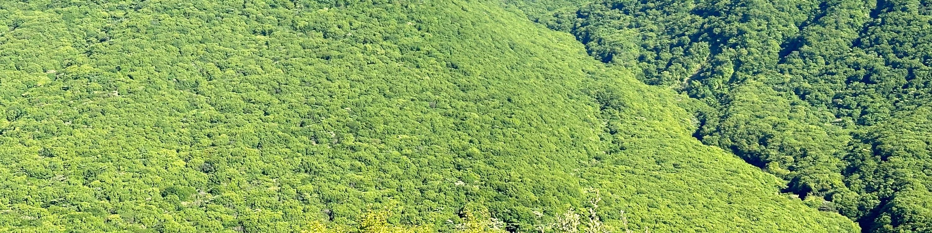 沿著御乘生嶽（Eoseungsaeng-ak）最短路線（2.6公里往返，需1小時），欣賞漢拏山令人驚歎的美景。