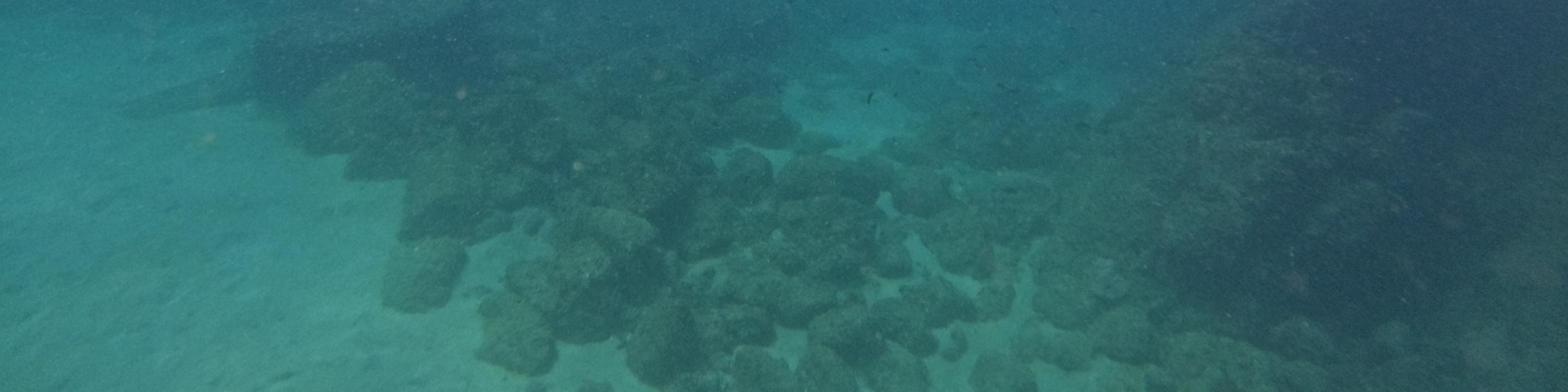 Guided Snorkeling Day Tour in Fujairah with BBQ Lunch from Dubai