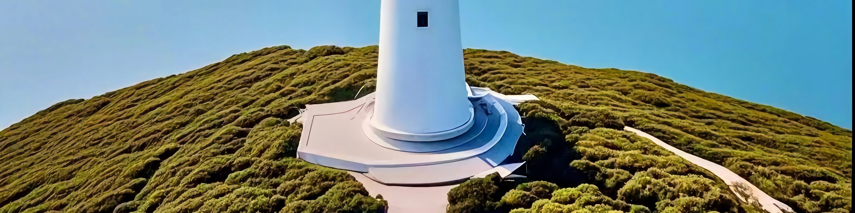 Great Ocean Road & 12 Apostles Full-Day Tour from Melbourne
