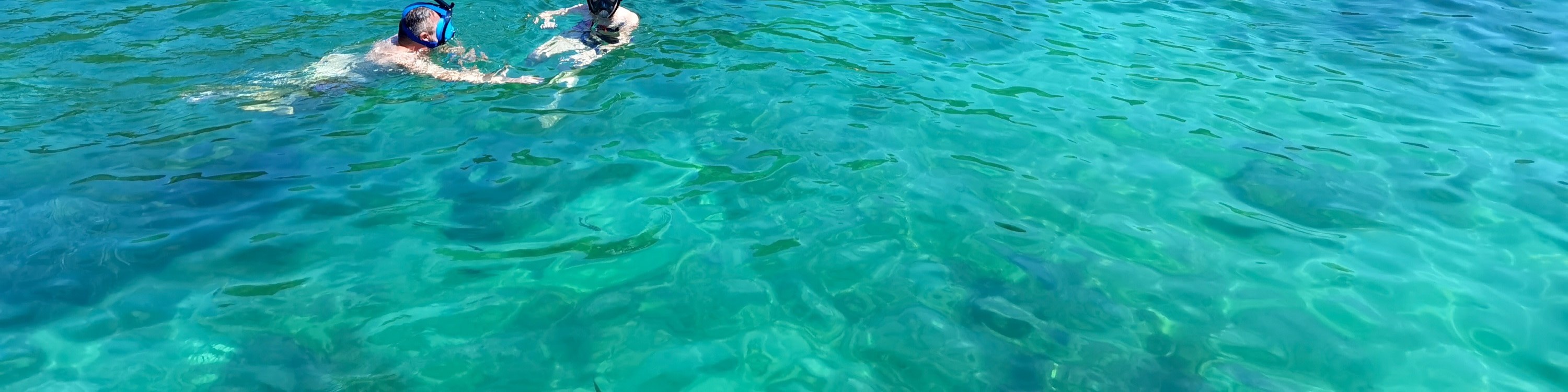 浮潛探索水下天堂,欣賞色彩繽紛的魚類和珊瑚。如果您足夠幸運,甚至還能發現黑鰭礁鯊。 浮潛探索水下天堂,欣賞色彩繽紛的魚類和珊瑚。如果您足夠幸運,甚至還能發現黑鰭礁鯊。