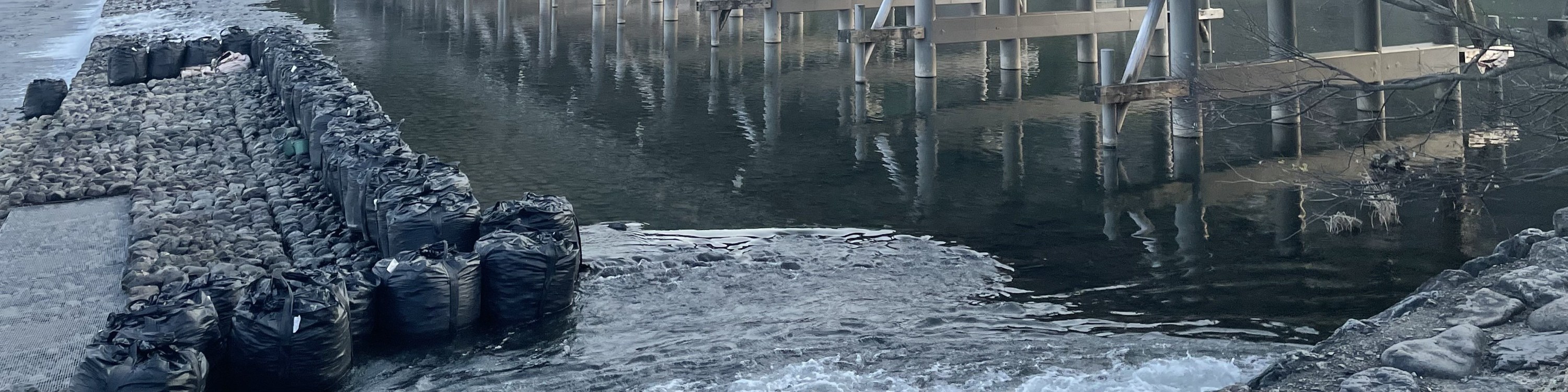 Arashiyama