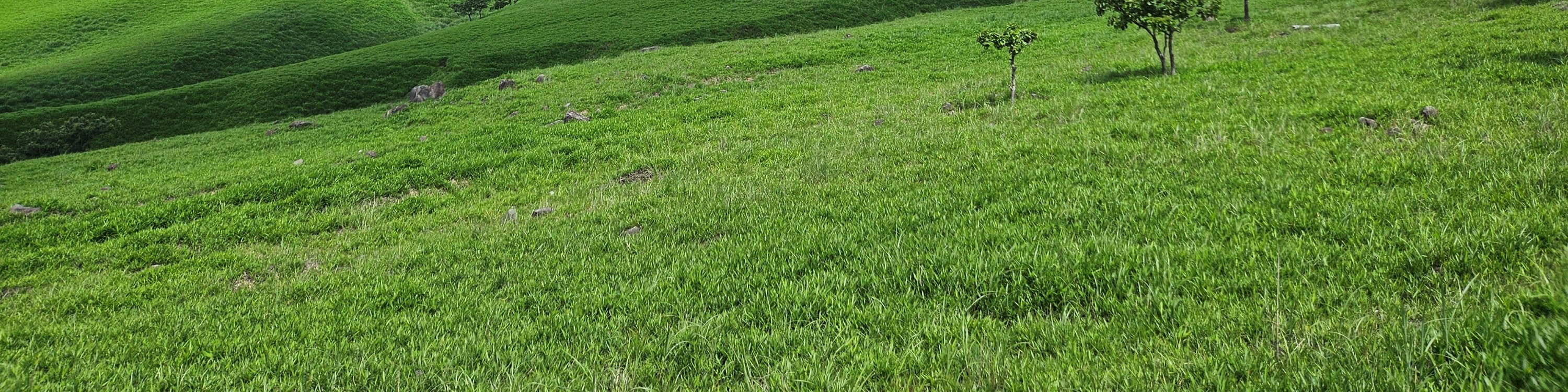 由布岳登山口3 由布岳登山口3