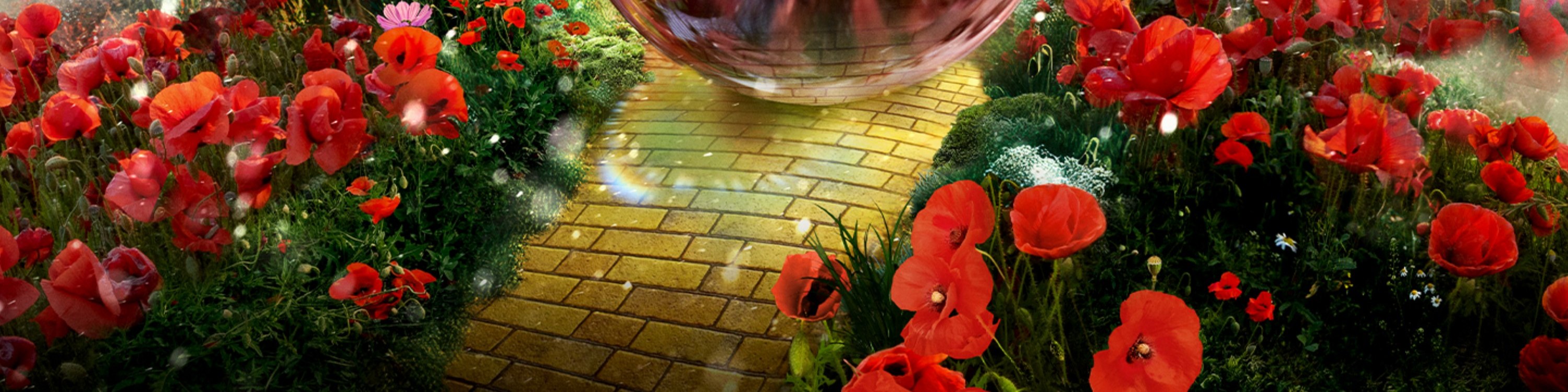 Venture with Dorothy through the streets of Oz with an immersive experience