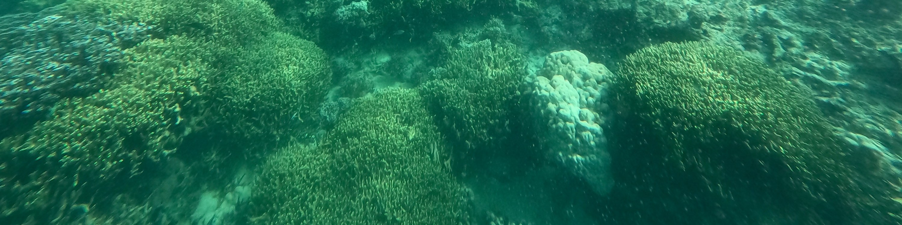關島高級浮潛體驗