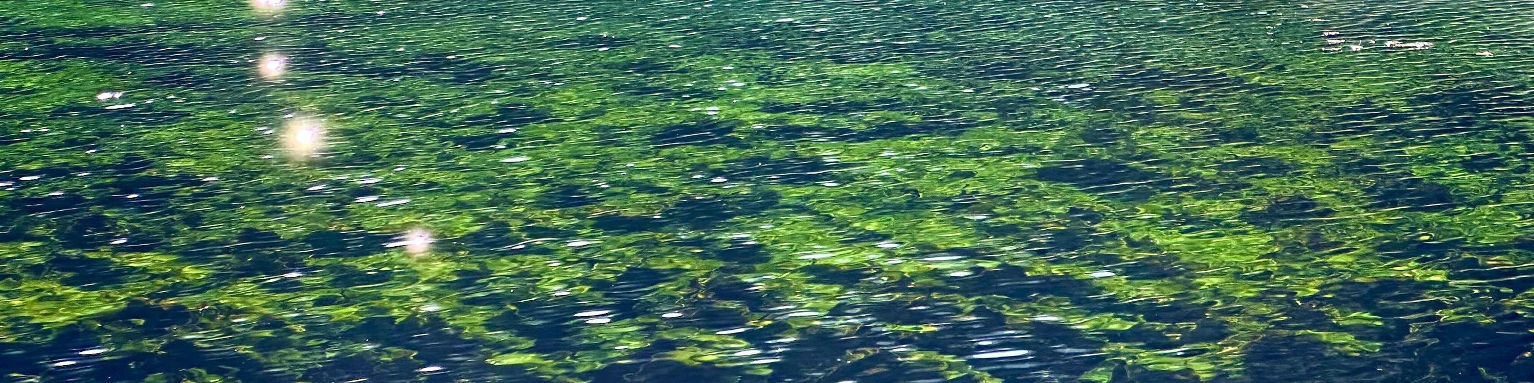 澄澈如鏡的湖水,將雪山、彩林與流雲盡數攬入懷中,這是大自然親手繪就的童話 澄澈如鏡的湖水,將雪山、彩林與流雲盡數攬入懷中,這是大自然親手繪就的童話
