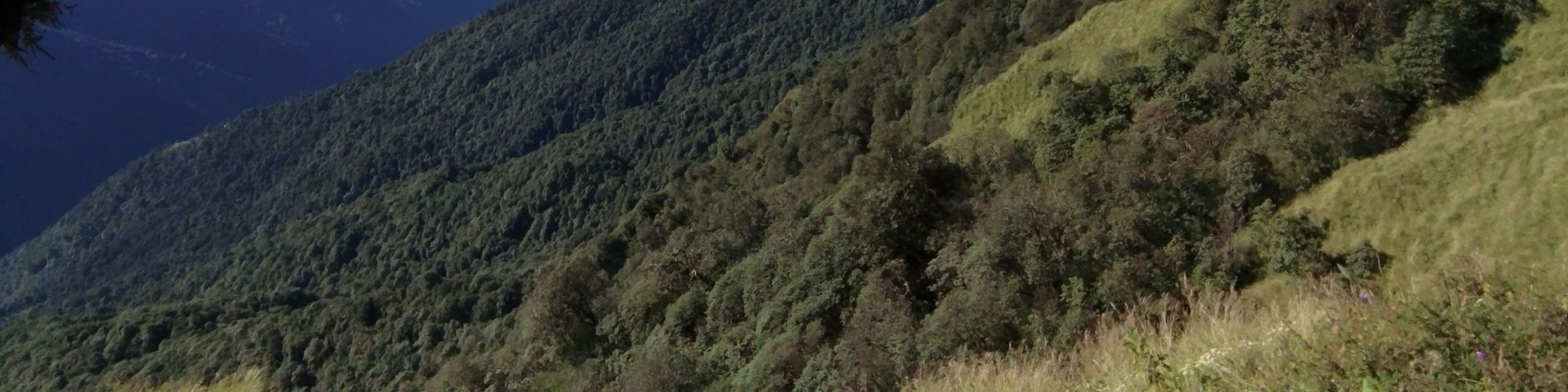 博卡拉：4天馬爾迪喜馬拉雅山徒步之旅