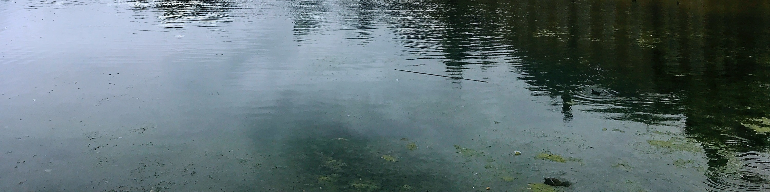 鹿特丹 & 代爾夫特 & 海牙一日遊（包皇家代爾夫特博物館）