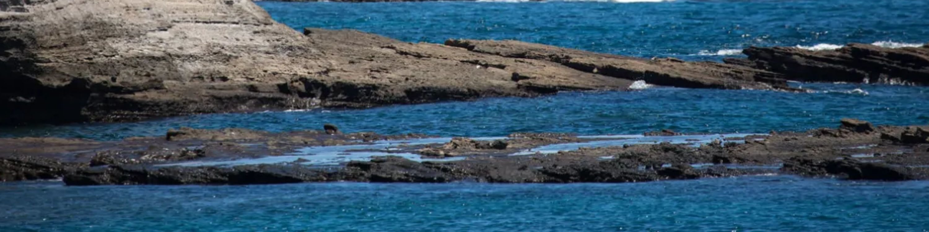 考艾島尼豪島與納帕利海岸船遊