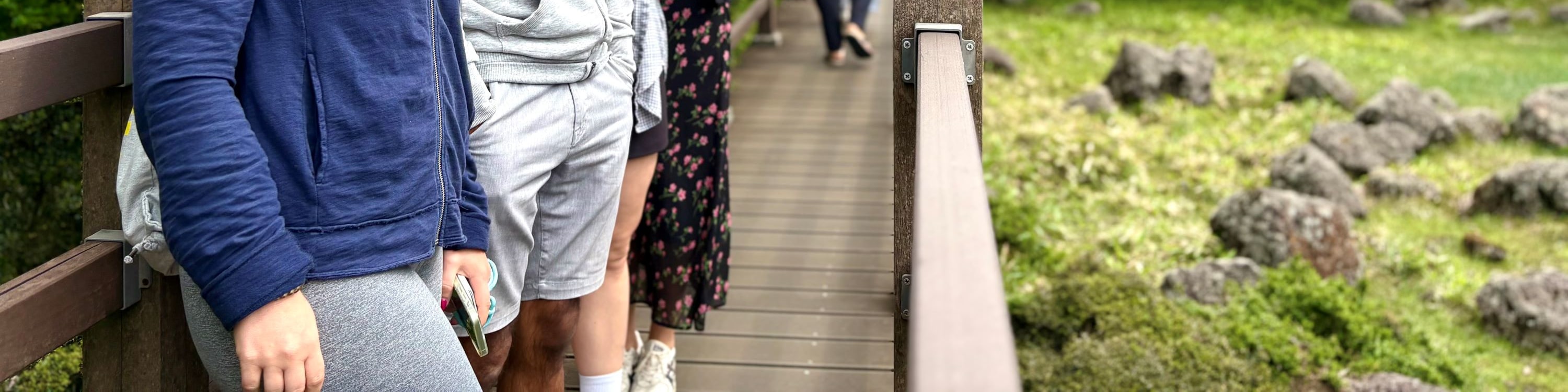 濟州賞櫻及草莓採摘小團一日遊
