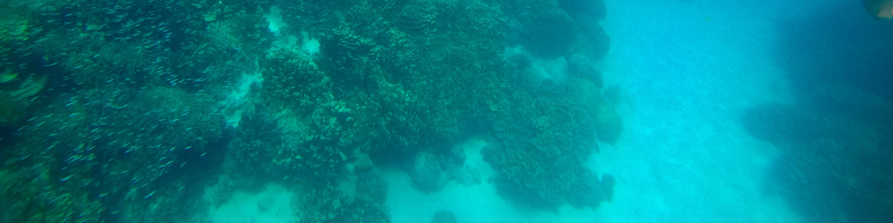 關島高級浮潛體驗