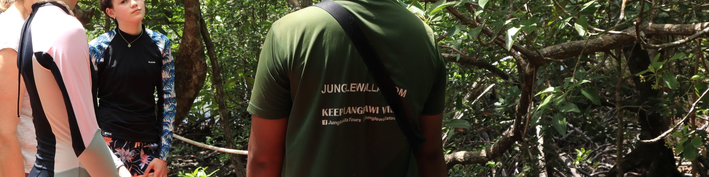 認識紅樹林的重要性,以及它們如何保護我們的海岸線。 認識紅樹林的重要性,以及它們如何保護我們的海岸線。