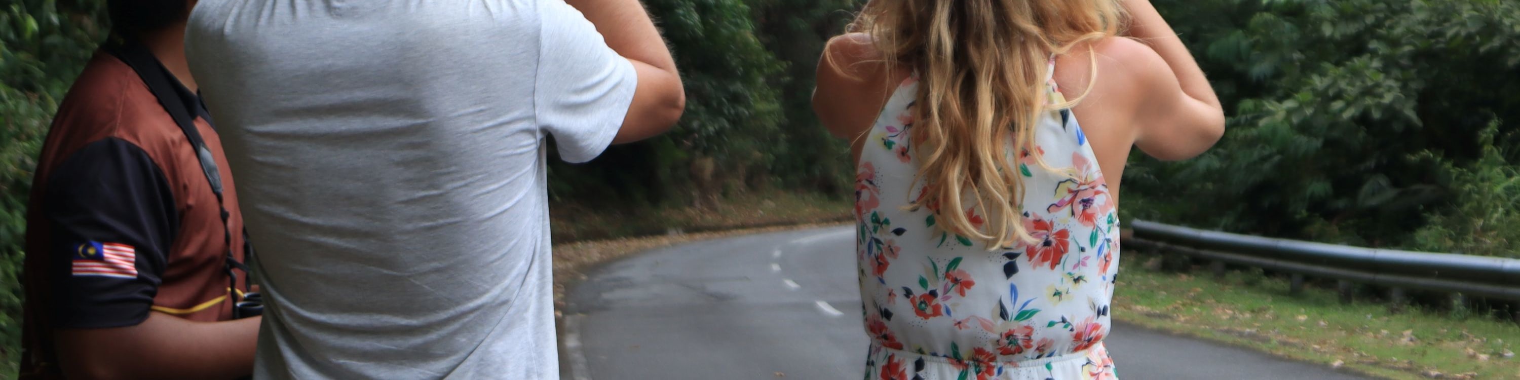 Accompanied by a guide who will give you plenty of information about your surroundings.