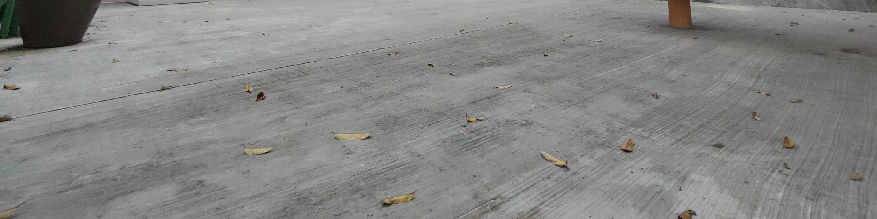 Roots & Flavours: A Pulau Ubin Discovery - Thumbnail 18