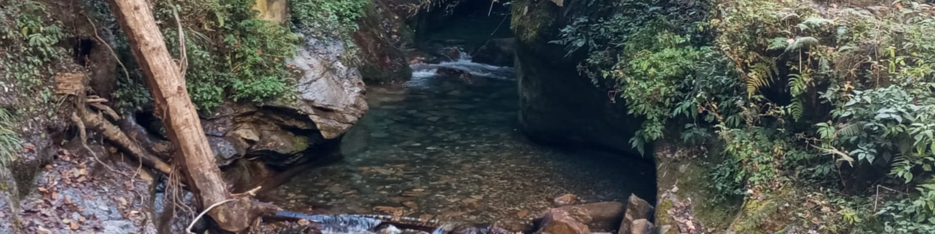 博卡拉：3天戈雷帕尼 - 蓬山 - 甘德魯克徒步之旅（含導遊）