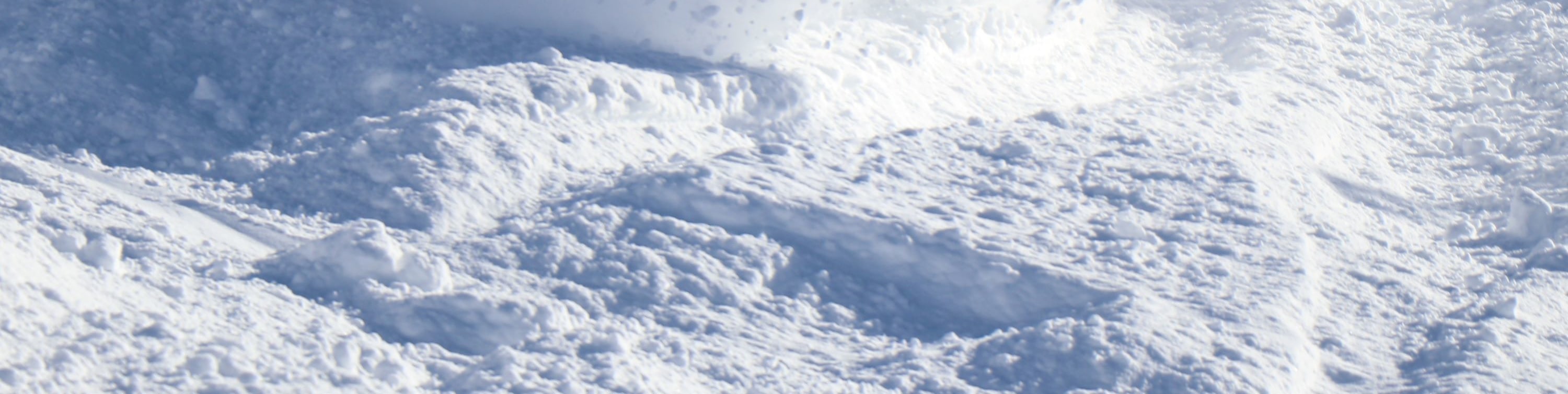 格蘭雪奧瑞吹滑雪體驗 (GRANSNOW OKUIBUKI Ski & Snowboarding Experience)