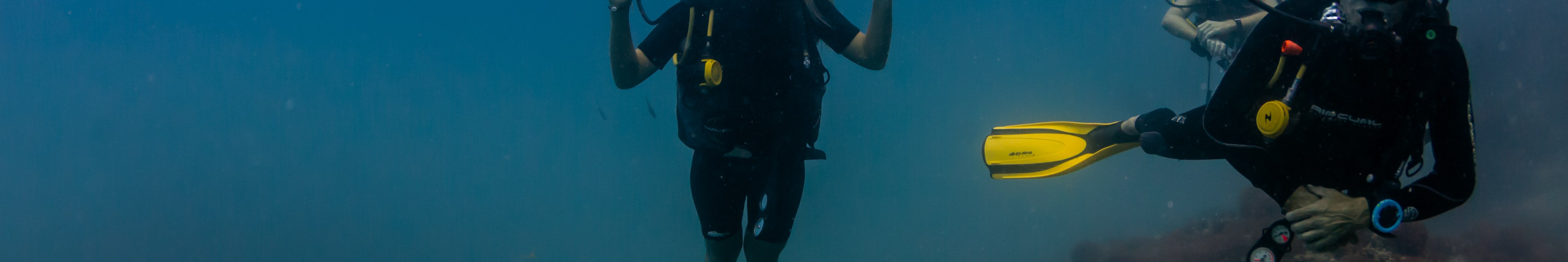 帕岸島水肺潛水初學者體驗（PADI五星級潛水中心）