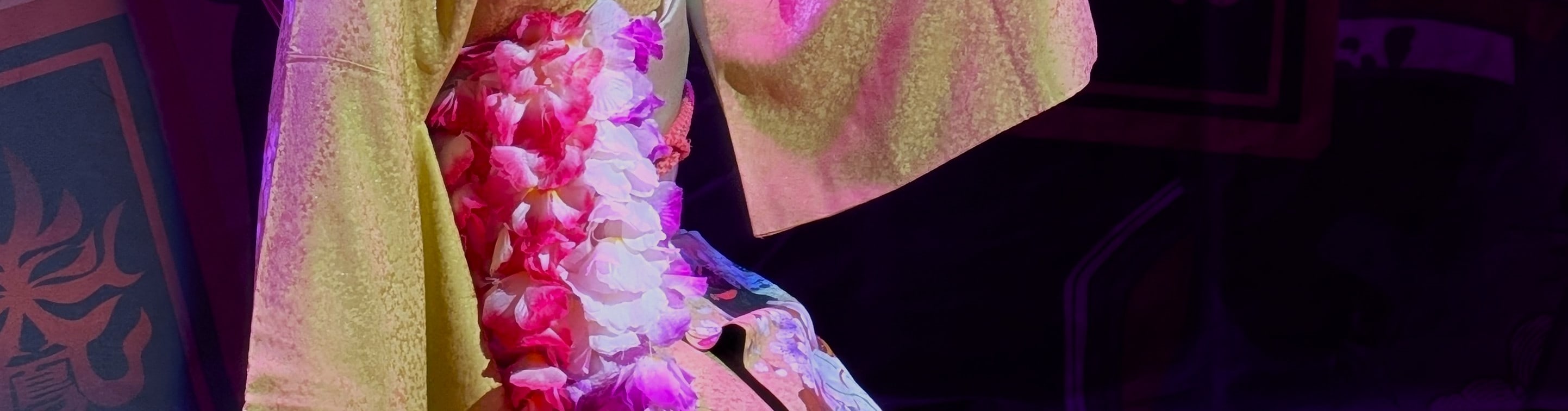 Tokyo Asakusa: Guided Japanese Cabaret Show (Taishu Engeki) - Thumbnail 21