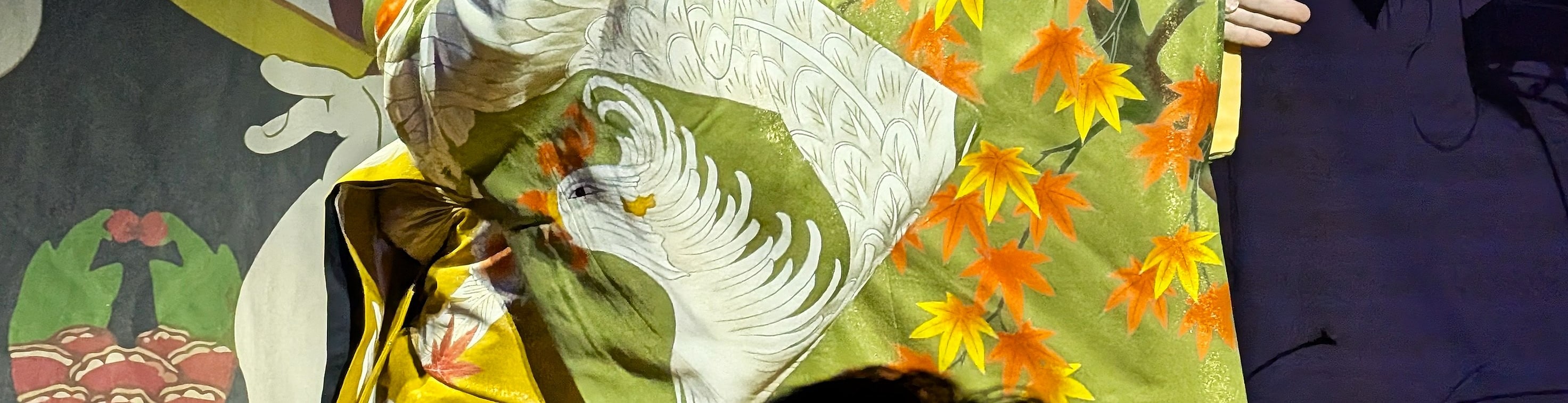 Tokyo Asakusa: Guided Japanese Cabaret Show (Taishu Engeki) - Thumbnail 13