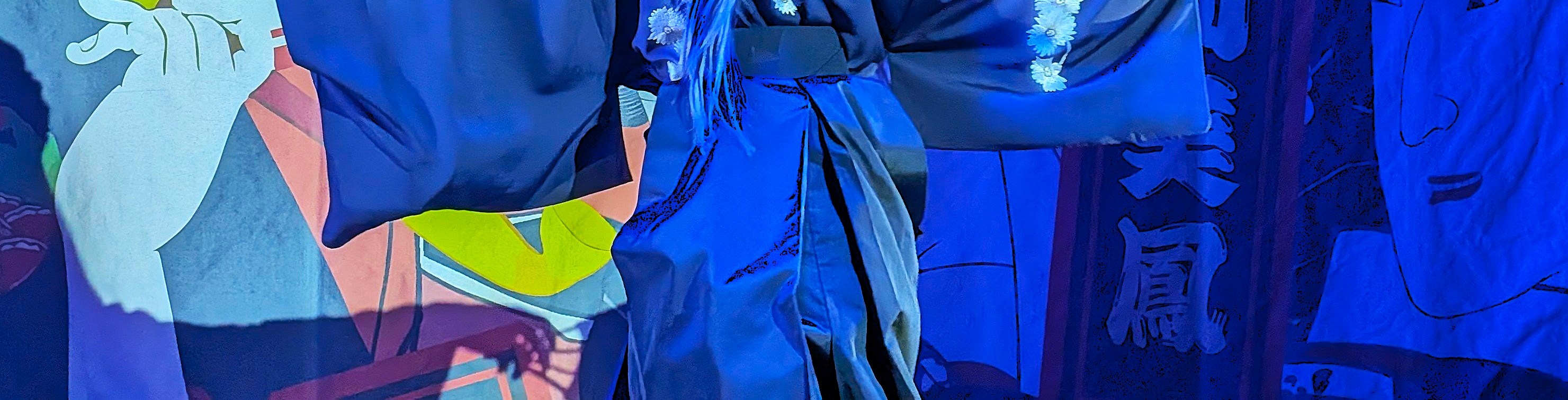 Tokyo Asakusa: Guided Japanese Cabaret Show (Taishu Engeki) - Thumbnail 33