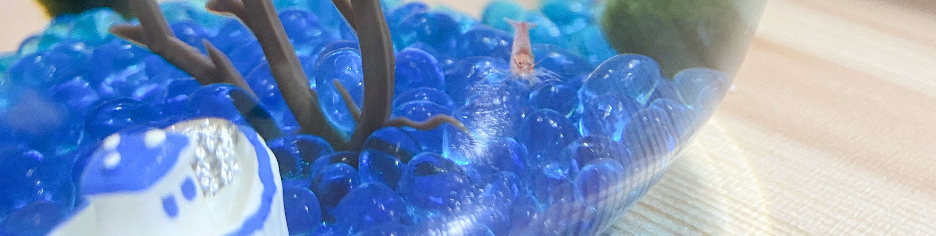 Singapore Volcanic Shrimp Aquarium Workshop - Thumbnail 9