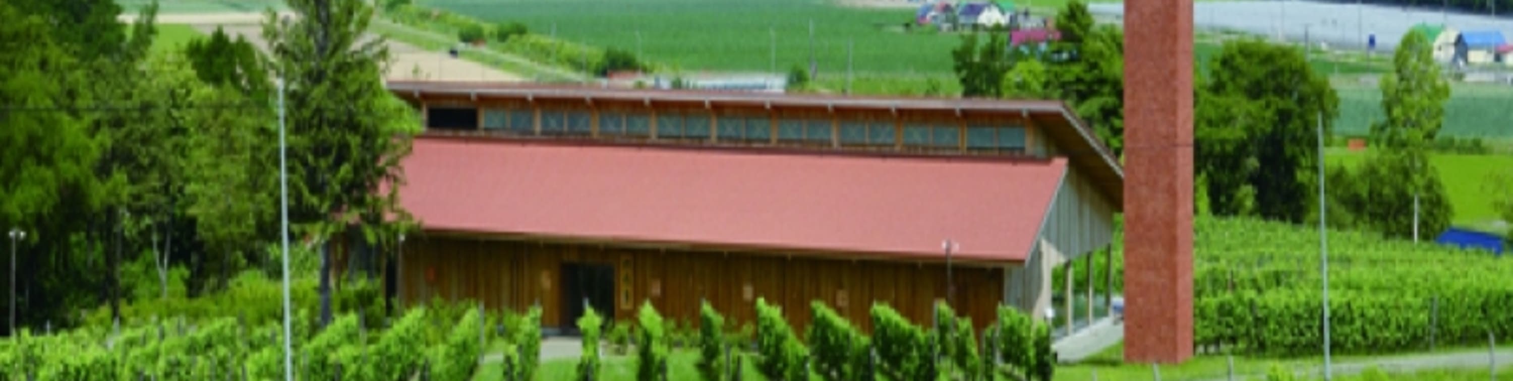 北海道1日遊 ❘ 富良野站出發 ❘富良野奶酪工廠&富田農場&Campana六花亭茶室