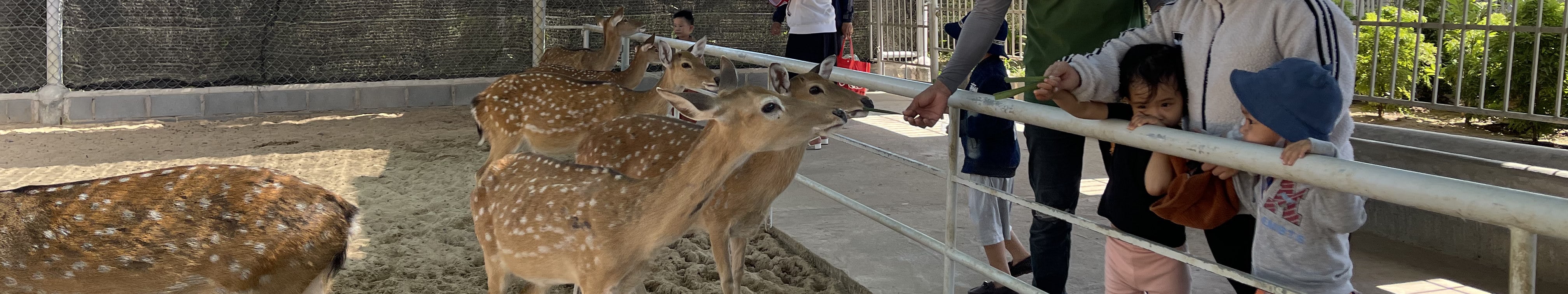 潘郎Tien Tien Farm農場 & 動物園門票