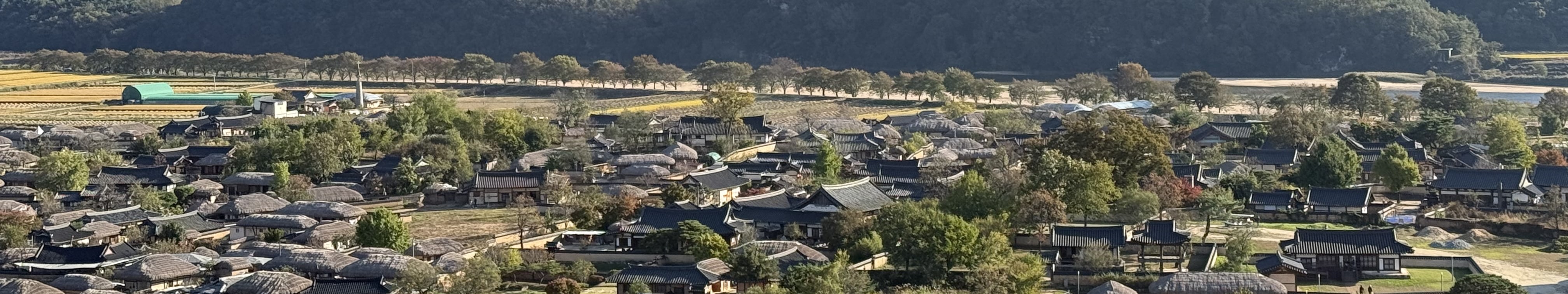 河回村