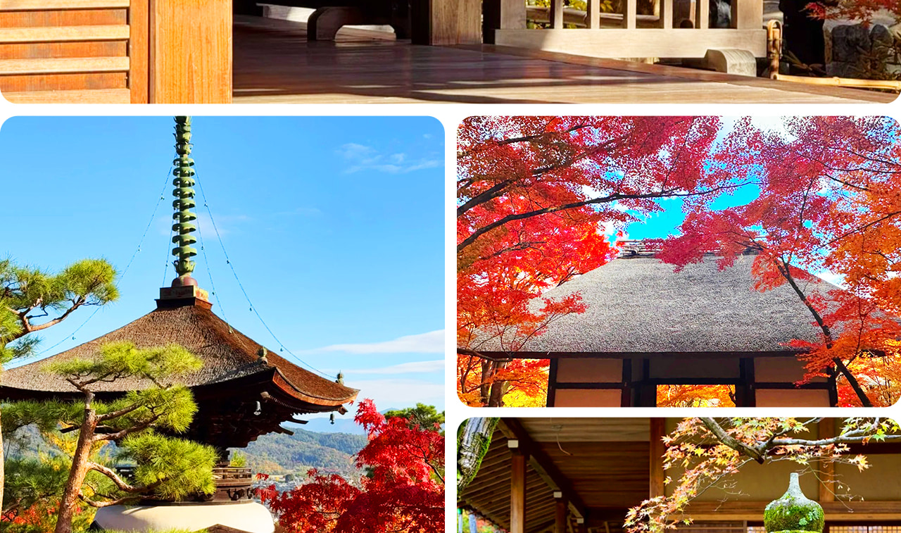 Kyoto Dream Illumination Autumn Foliage Day Tour - Kinkaku-ji & Arashiyama (Includes Night Maple Train - Departing from Osaka/Kyoto) - Thumbnail 9