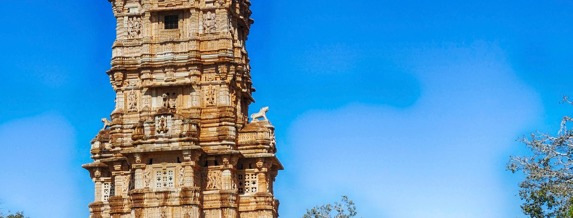 See Chittorgarh Fort & Udaipur Drop from Pushkar with Guide Service