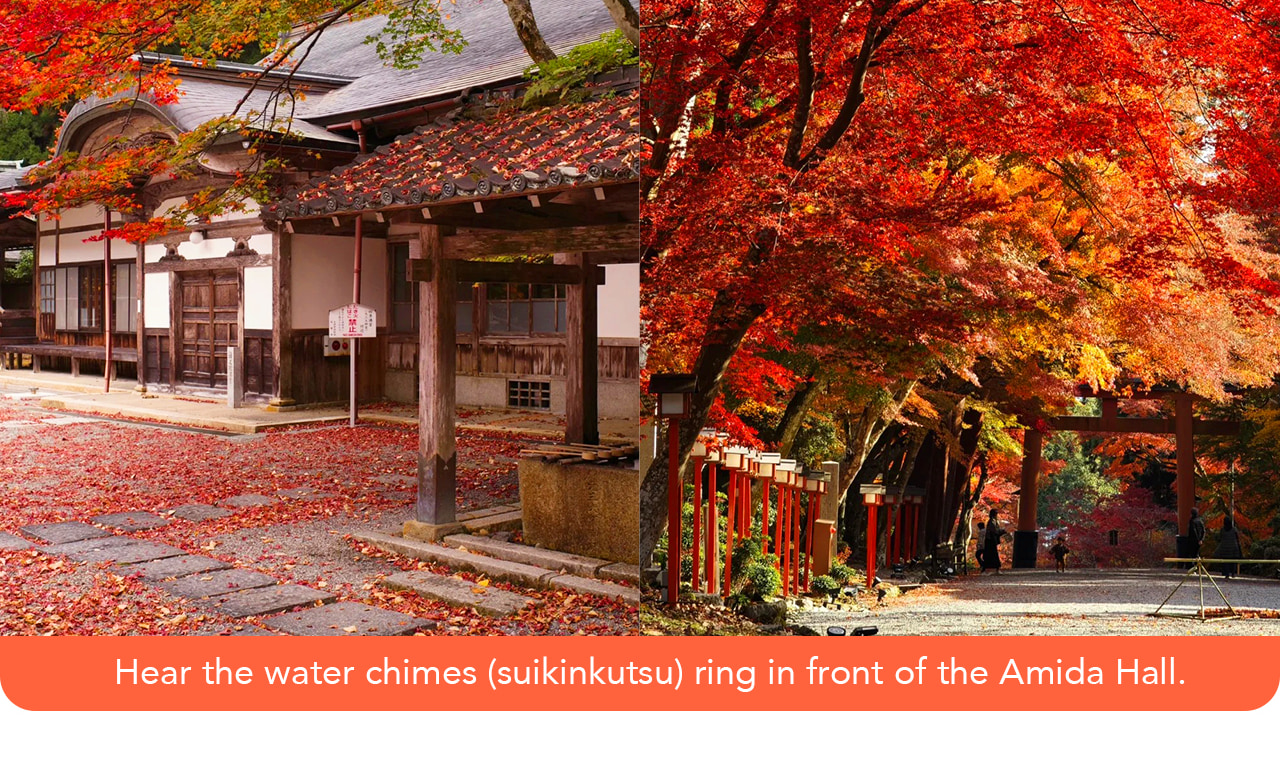 比叡山延歷寺在楓葉季染上絢麗紅彩，古剎與漫山紅葉交織出寧靜而莊嚴的絕美景緻。