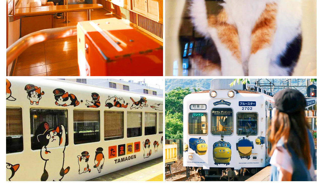 和歌山電鐵貴志川線:探訪傳奇貓站長小玉的故事,體驗貓咪主題電車,感受延續的 “貓文化”,是萌寵愛好者的打卡地。 和歌山電鐵貴志川線:探訪傳奇貓站長小玉的故事,體驗貓咪主題電車,感受延續的 “貓文化”,是萌寵愛好者的打卡地。