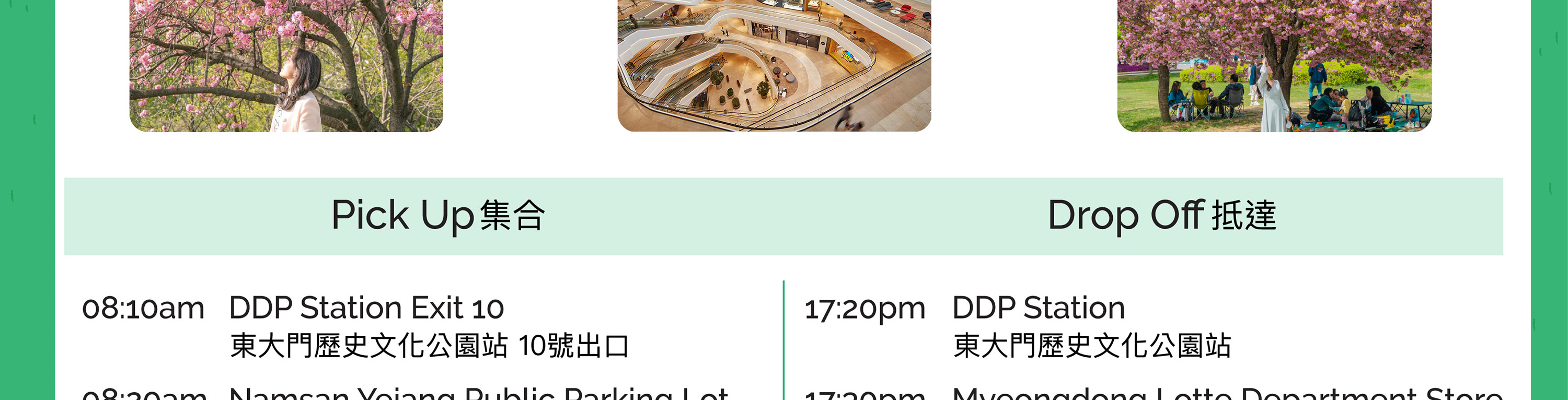首爾八重櫻花一日遊（首爾出發）