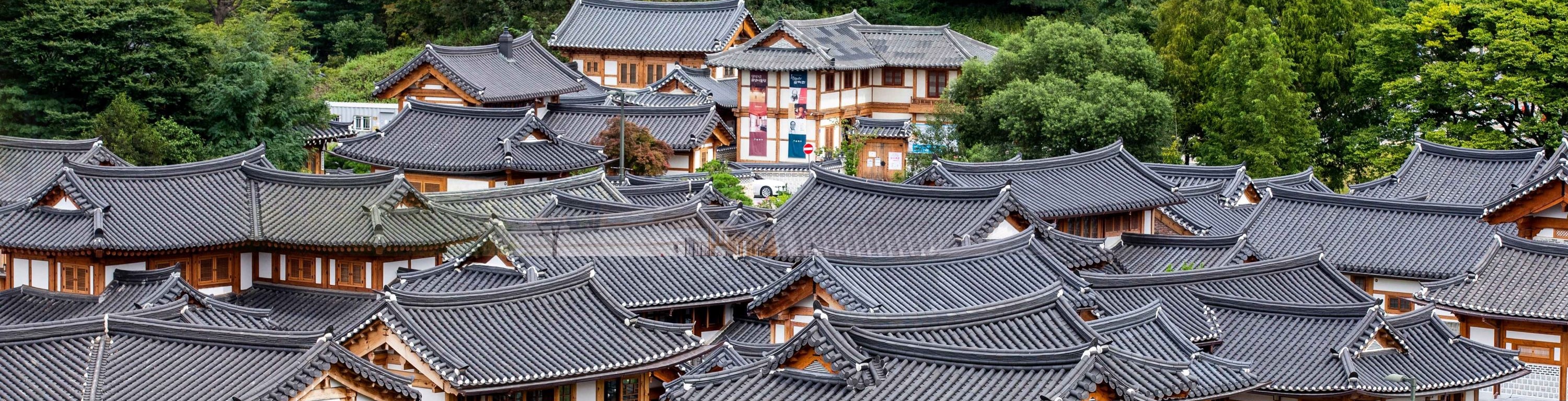 愛妓峰DMZ非軍事區和吊橋/恩平韓屋村一日遊